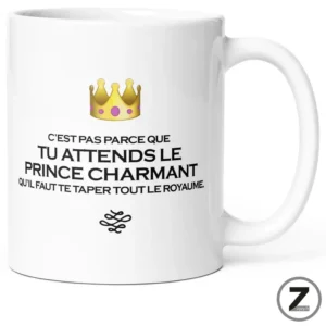 mug pas cher, mug humour, ziggymug.fr, tasse originale, mug rigolo, tasse pas cher, mug original, mug prince charmant