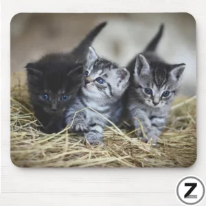 Tapis de souris chatons mignons, Tapis de haute qualité, tapis de souris rigolo, marrant