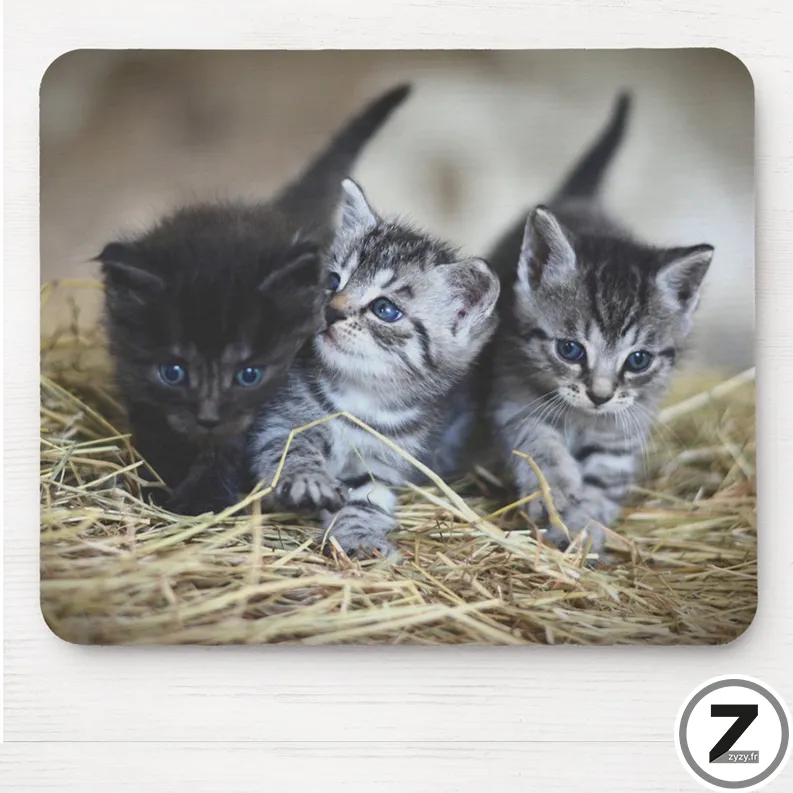 Tapis de souris chatons mignons, Tapis de haute qualité, tapis de souris rigolo, marrant